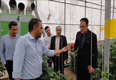 بازدید فرماندار پارس‌آباد از شهرک گلخانه‌ای؛ پیگیری مشکل تأمین سوخت گلخانه‌داران
