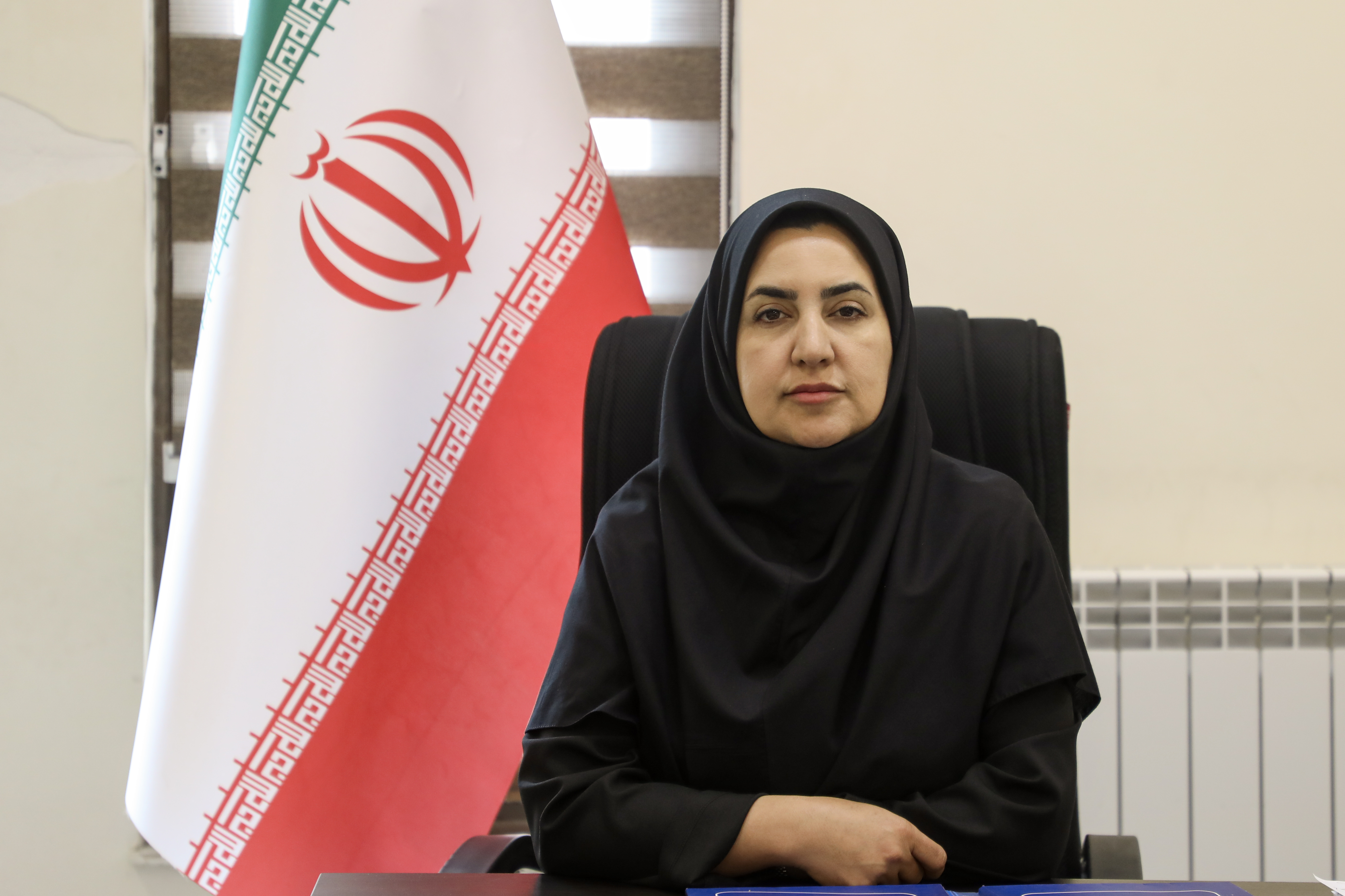 مدیرکل